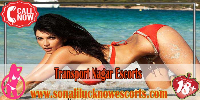 Transport-Nagar
